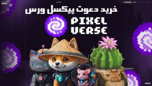 خرید دعوت پیکسل ورس یا زیر مجموعه pixel verse